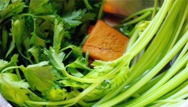 芹菜叶子能吃吗,芹菜叶子怎么吃