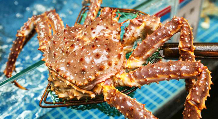 帝王蟹是螃蟹吗,帝王蟹是世界上最大的螃蟹吗