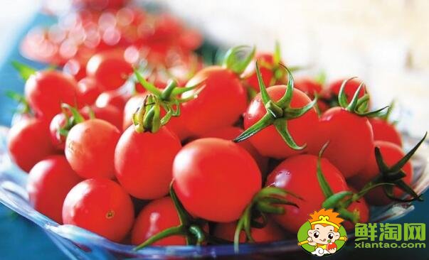 春桃圣女果未全红能吃吗,春桃和圣女果哪个有营养