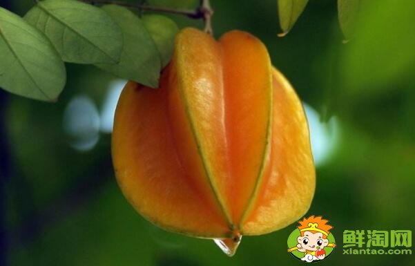 怎么分辨杨桃生熟,生杨桃熟的慢怎么办