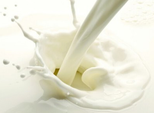 喝羊奶好还是牛奶好,宝宝喝羊奶好还是牛奶好