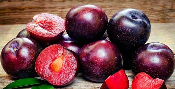 黑布林是红的好还是黑的好,黑布林果酱可以保存多久