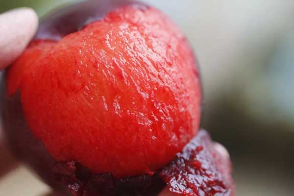 红布林多少一斤,黑布林贵还是红布