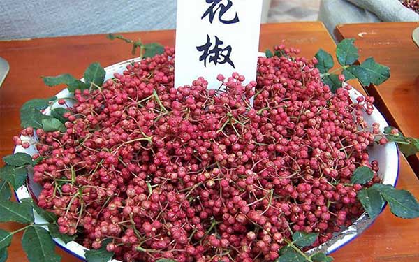 花椒叶有刺吗,无刺花椒和有刺花椒那个产量高