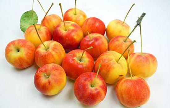 沙果是什么味道,沙果是山楂吗