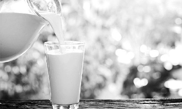 现在怎么有那么多骆驼奶,马奶骆驼奶为什么不能一起喝