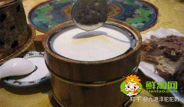 喝骆驼奶会上火吗,骆驼奶怎么喝用烧开吗