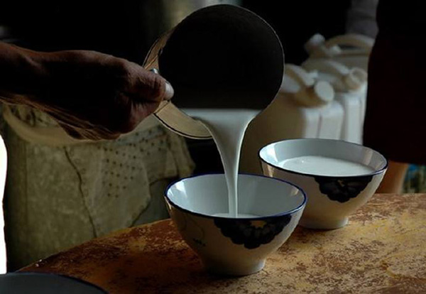 骆驼奶越喝血糖越高,骆驼奶怎么喝能控制血糖