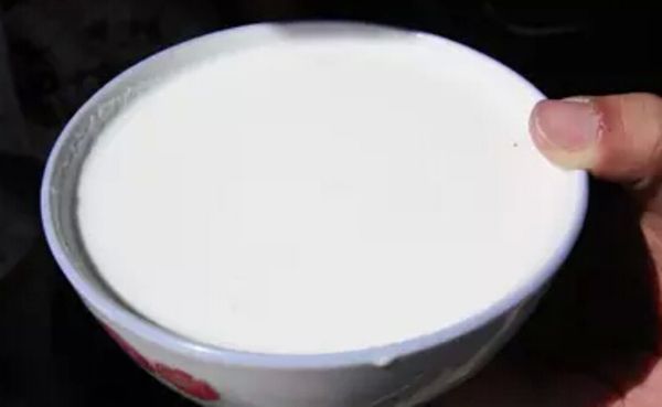 驼奶有什么大品牌呢,全球驼奶十大排名