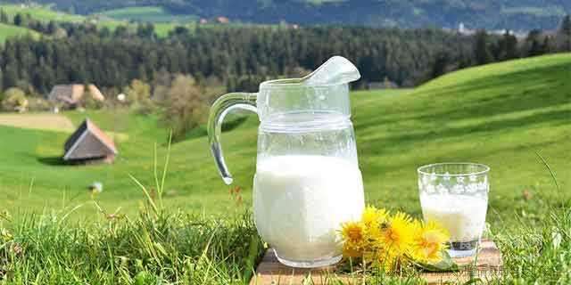 王牌骆驼奶吃有什么用,王牌驼奶在哪能买到正品