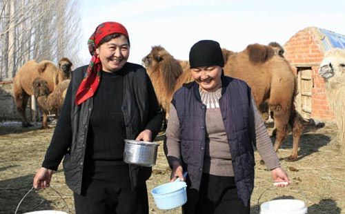 王牌骆驼奶粉是真的吗，网上卖的王牌骆驼奶粉是真的吗