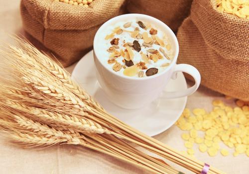 骆驼奶能降低血糖吗,血糖人一天能喝多少骆驼奶