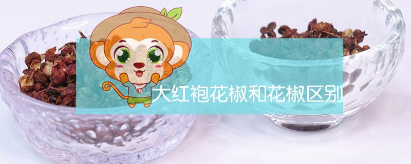 大红袍花椒和花椒区别