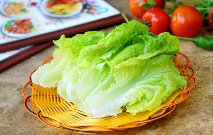 生菜的样子,结球生菜和生菜的区别