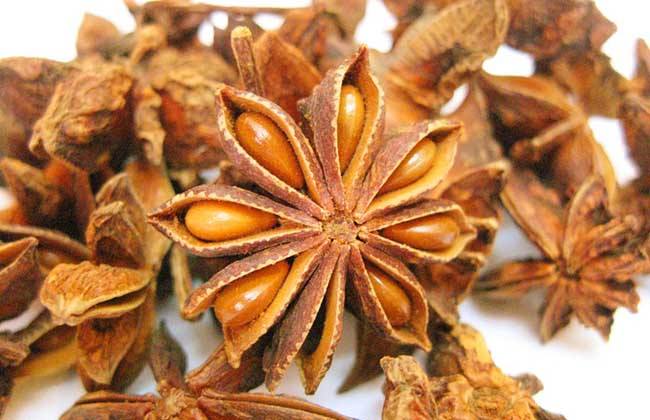大料和八角的籽能吃吗,云南省出产大料八角有那些地方