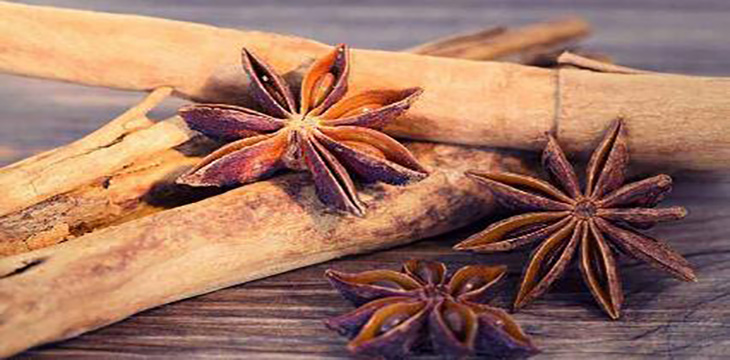 八角茴香油是中药吗,八角油提炼方法