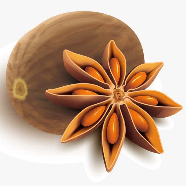 八角种子催芽方法,八角种子能有什么用途