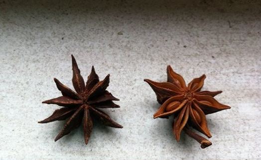 和八角味道一样的香料是什么,毒八角和大料的区别