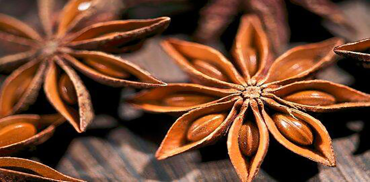 大料和八角是一个东西吗,大料和八角的区别图片