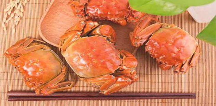 黄河口大闸蟹什么时候有,黄河大闸蟹产地在哪里