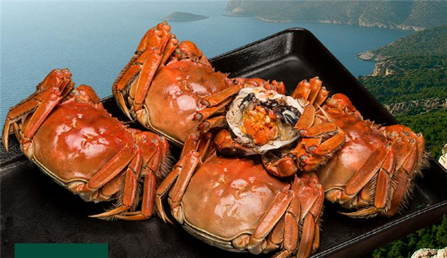 黄河口大闸蟹最佳季节,黄河口大闸蟹和阳澄湖大闸蟹的区别