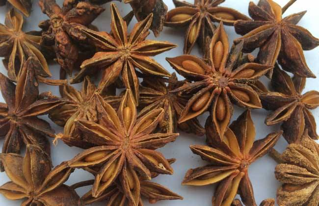 野八角中毒什么症状,中药材八角的真假分别