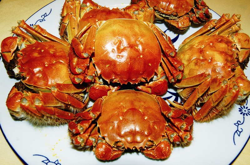 梁子湖大闸蟹几月份吃,梁子湖大闸蟹在哪里买