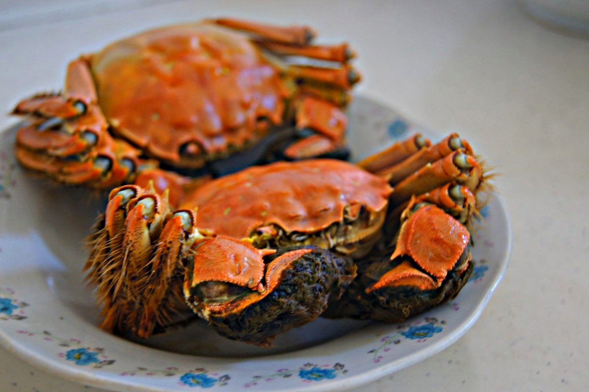 大闸蟹与螃蟹有什么区别,大闸蟹小孩能不能吃