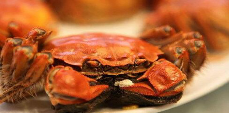 青蟹膏怎么是苦的,蟹膏是苦的怎么回事