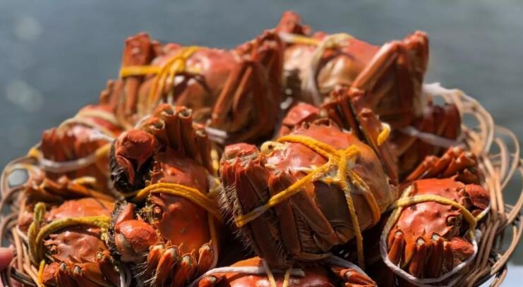 吃螃蟹是农历还是阳历,九月十月吃什么螃蟹