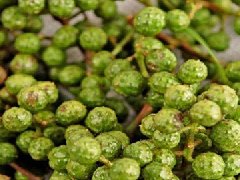 藤椒油做什么菜好吃,哪些菜适合鲜椒藤椒味