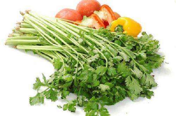 芹菜是什么季节的蔬菜,水芹是什么季节的菜