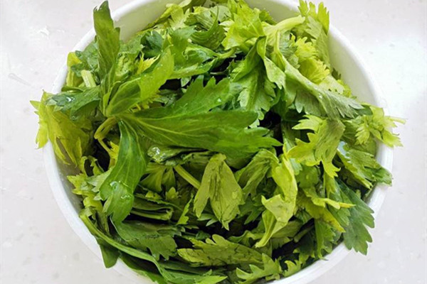 芹菜叶不焯水能吃吗,新鲜芹菜叶怎么做好吃