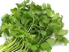 香菜什么时候种植最好,香菜种植方