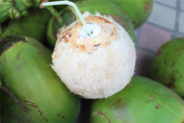 毛椰子和青椰子的区别,怎么挑选椰子