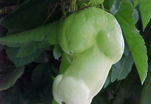 为什么我来姨妈就会长痘痘,神回复