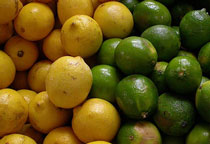 莱姆图片,莱姆的功效与作用,莱姆营养价值