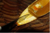 橙子水果拼盘图片,橙子拼盘怎么做