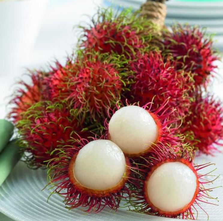 红毛丹长什么样,红毛丹图片详解