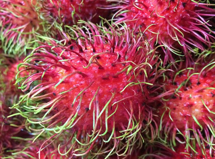 泰国红毛丹图片大全,新鲜可口的进口红毛丹