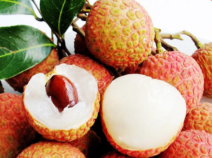 妃子笑荔枝图片高清,一骑红尘妃子笑