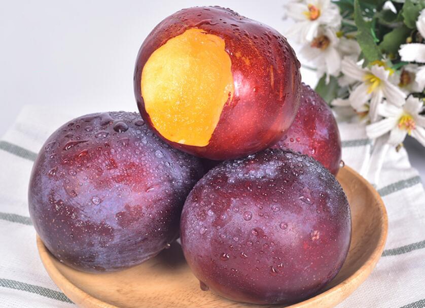 酸甜黑布林图片大全,个大味好的黑布林李子