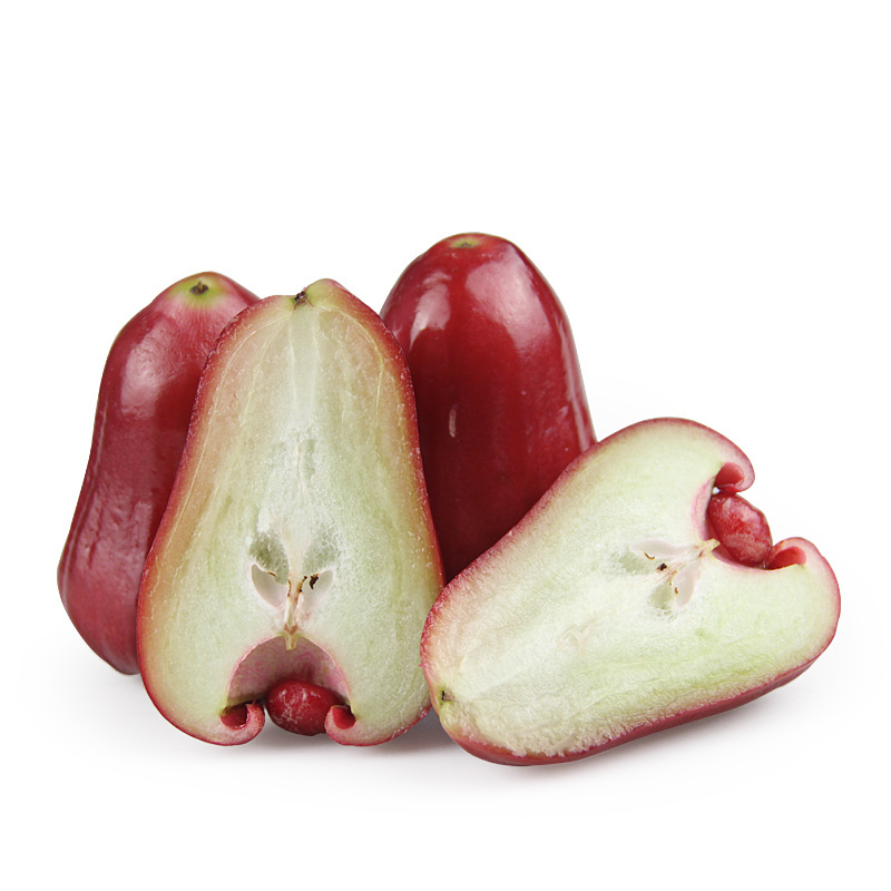 莲雾图片大全大图,新鲜莲雾图片集