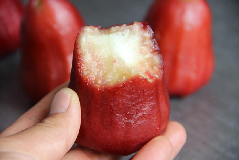 台湾蜜风铃莲雾图片,大个莲雾图片