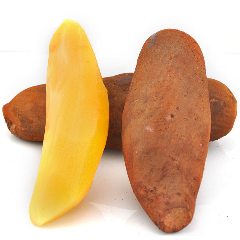 新鲜雪莲果图片大全,高清雪莲果图片