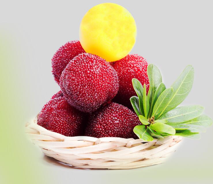 杨梅图片大全大图,新鲜好吃的杨梅图片