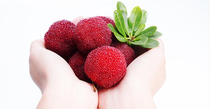 杨梅图片大全大图,新鲜好吃的杨梅图片