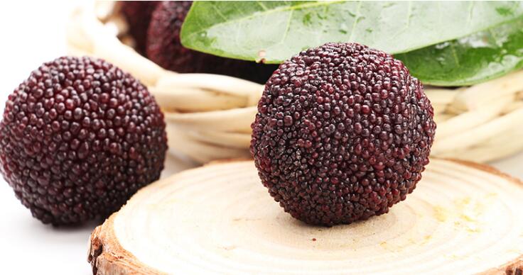 高清杨梅图片大全,颜值高的杨梅图片