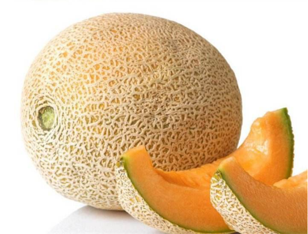 哈密瓜图片,哈密瓜种子,哈密瓜长在哪
