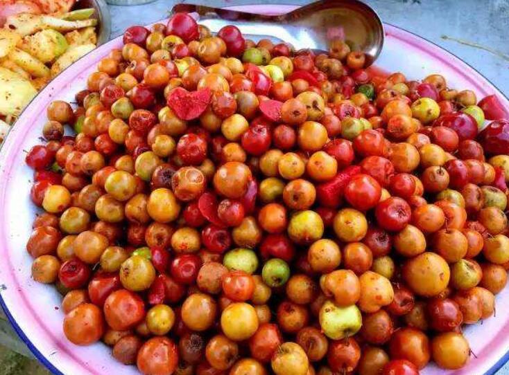 西西果图片大全大图,图片详解西西果是什么